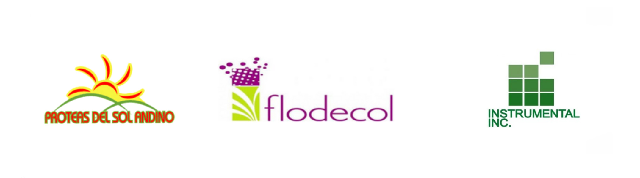 logos clientes integral 4